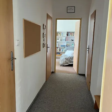 Pod Studenou Horou Rokytnice nad Jizerou