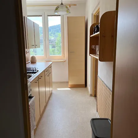 Apartment Pod Studenou Horou *