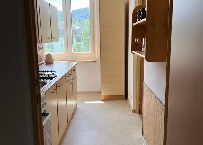 Apartment Pod Studenou Horou *